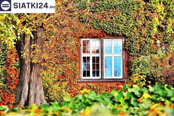 Siatki Opole - Siatka wspomagająca wzrost roślin pnących na ścianie dla terenów Opola