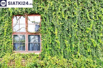 Siatki Opole - Siatka z dużym oczkiem - wsparcie dla roślin pnących na altance, domu i garażu dla terenów Opola